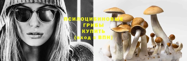 гидропоника Балахна