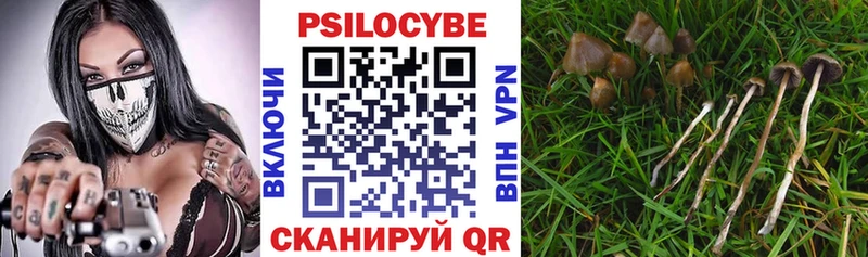 Галлюциногенные грибы ЛСД  Липки 