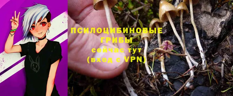 цены наркотик  Липки  Псилоцибиновые грибы Psilocybine cubensis 